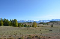 dsc_6767.jpg dsc_6767.jpg