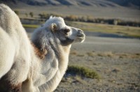 dsc_6790.jpg dsc_6790.jpg