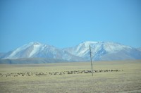 dsc_6834.jpg dsc_6834.jpg