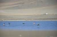 dsc_6875.jpg dsc_6875.jpg