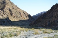 dsc_7221.jpg dsc_7221.jpg