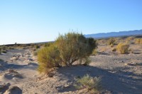 dsc_7359.jpg dsc_7359.jpg