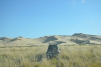 dsc_7415.jpg dsc_7415.jpg