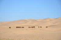 dsc_7418.jpg dsc_7418.jpg