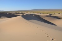 dsc_7456.jpg dsc_7456.jpg