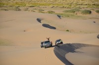 dsc_7462.jpg dsc_7462.jpg