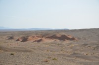 dsc_7547.jpg dsc_7547.jpg