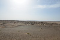 dsc_7548.jpg dsc_7548.jpg