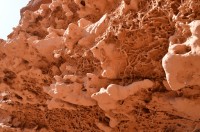 dsc_7588.jpg dsc_7588.jpg