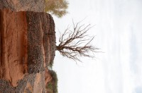 dsc_7640.jpg dsc_7640.jpg