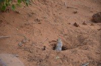 dsc_7646.jpg dsc_7646.jpg