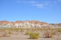 dsc_7717.jpg dsc_7717.jpg