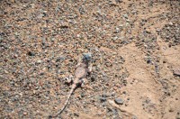 dsc_7752.jpg dsc_7752.jpg