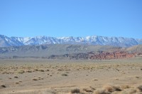 dsc_7874.jpg dsc_7874.jpg