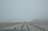 dsc_7925.jpg dsc_7925.jpg