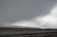 dsc_7959.jpg dsc_7959.jpg