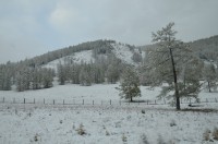 dsc_7978.jpg dsc_7978.jpg