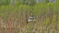 img_2619.jpg
