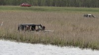 img_2630.jpg