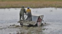 img_2646.jpg