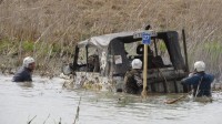 img_2667.jpg