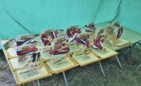 img_2770.jpg